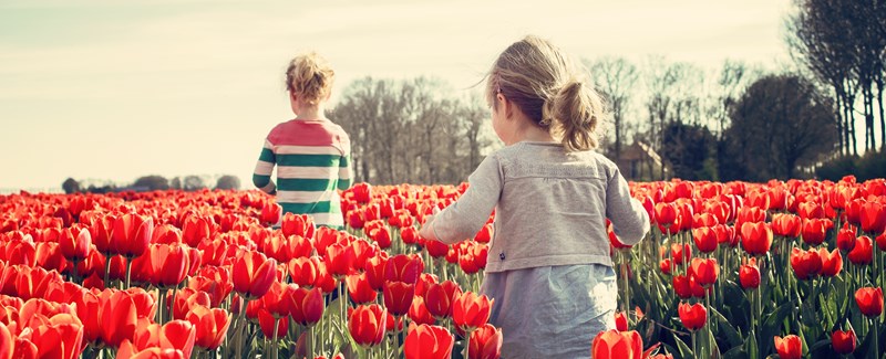 Erhöhung der Familienzulagen im Jahr 2025